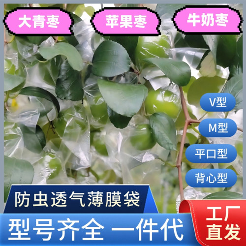 大青枣防虫袋青枣套袋牛奶枣保护袋蜜丝枣套袋 冬枣袋 百香果袋