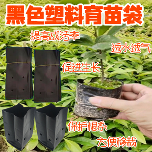 咖啡育苗袋加厚营养钵塑料桉树苗专用一次性种植神器育沉香苗培养