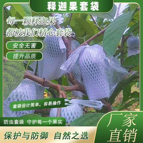 可视释迦透明加厚番荔枝保护袋