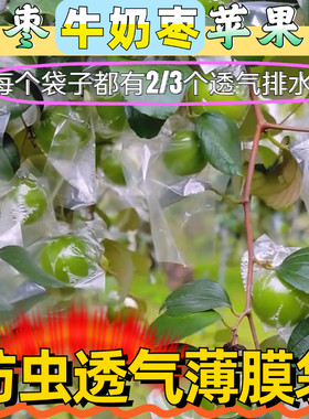 青枣套袋 百香果防虫袋 台湾青枣套袋 牛奶大青枣防虫袋 青枣袋