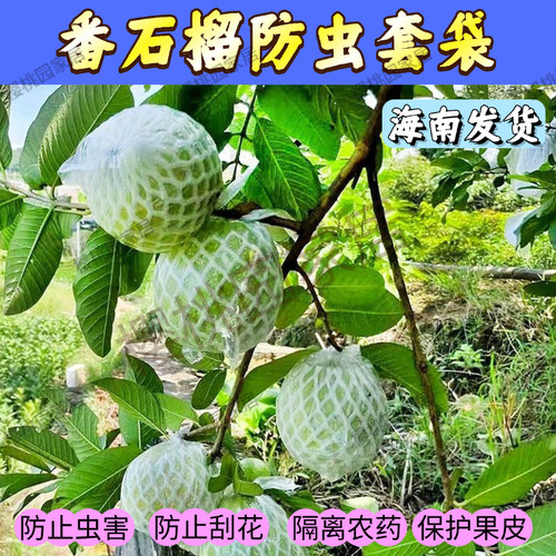 芭乐套袋番石榴套袋水果专用袋网套袋石榴防虫包装套袋番石榴袋子