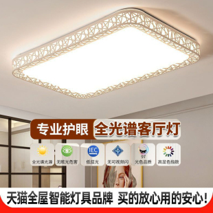 臥室主燈LED吸頂燈簡約鳥巢房間書房餐廳護眼燈具 客廳燈2023新款