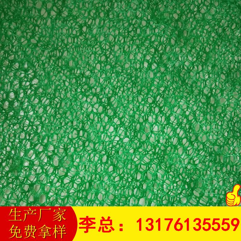 山东厂家现货供应EM1EM2EM3EM4EM5多种规格植草护坡三维植被网