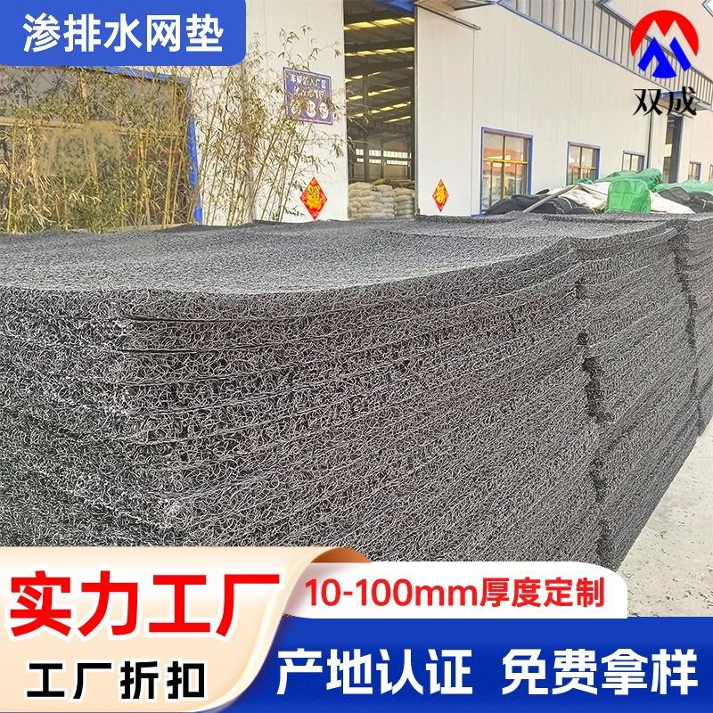 速排龙土工席垫 开孔率高抗压三维立体乱丝土工滤垫rcp渗排水网垫