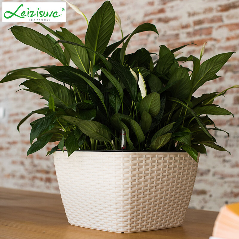 莱之秀创意阳台桌面懒人花盆 藤编塑料自动吸水花盆家用绿萝花盆
