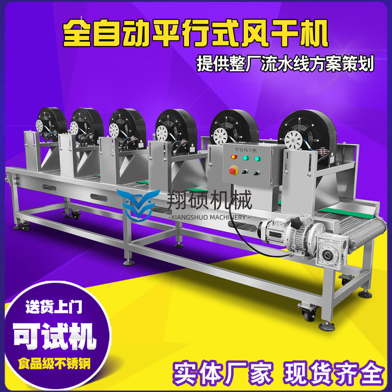 批发杨桃黄桃清洗机 话梅清洗设备 气泡式枇杷清洗风干线价格实惠