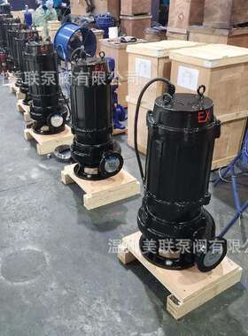 200QWB350-25-37防爆潜水泵 防爆潜水排污泵BT4/CT4