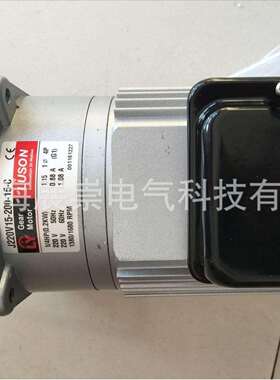 J220V15-200-10-C(A1) LUSON电机 LY马达 J220V16-200-10-C(Y)
