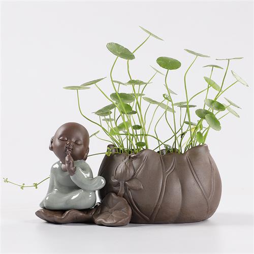 可爱个性陶瓷水培花盆茶宠花钵禅意花器铜钱草绿萝室内花盆摆件