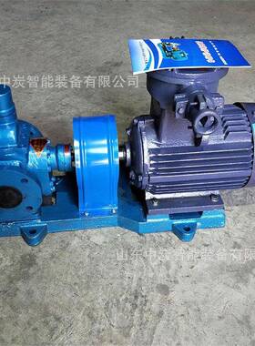 耐腐蚀圆弧齿轮泵 度圆山东中炭弧齿轮泵 CB-1强0B液压齿轮高泵