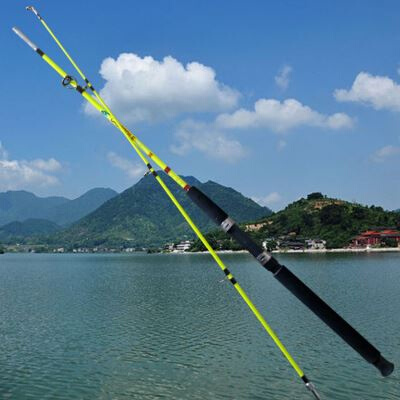 实心路亚竿直柄单杆初学者翘嘴黑鱼插节竿海竿船钓冰钓锚鱼远投竿