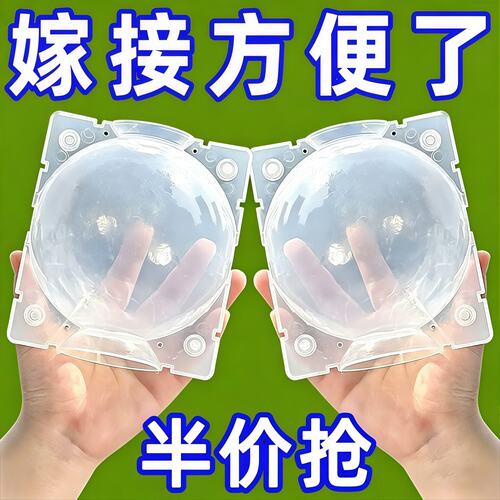 花木果树高压盒生根球扦插嫁接