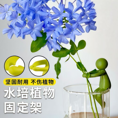 水培植物扶正固定支架防倒伏