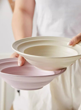 稻森釉下彩盘子菜盘家用陶瓷深盘2024新款餐具高级感餐盘汤盘