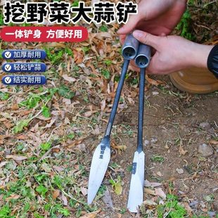 拔菜起根小 除草神器种挖野工具专用花草铲种户外蒜铲子园艺菜铲