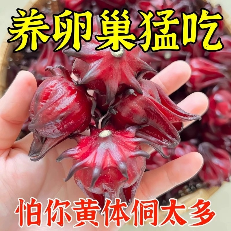 黄体酮茶种子循环养雌茶亚麻籽无花果桑葚黑枸杞养生包降雄茶卵巢