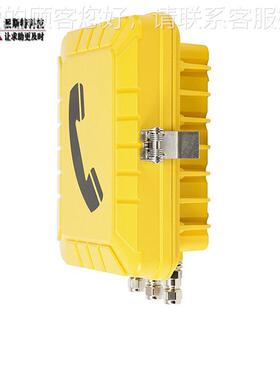 IP光67不锈钢潮防防尘抗冰冻防爆电话 声一体报警通知广播话黄色