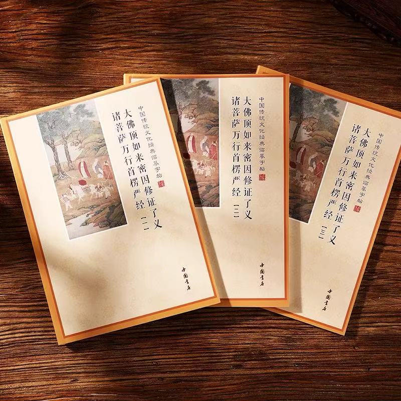 手抄本楞严经临摹抄经本简体