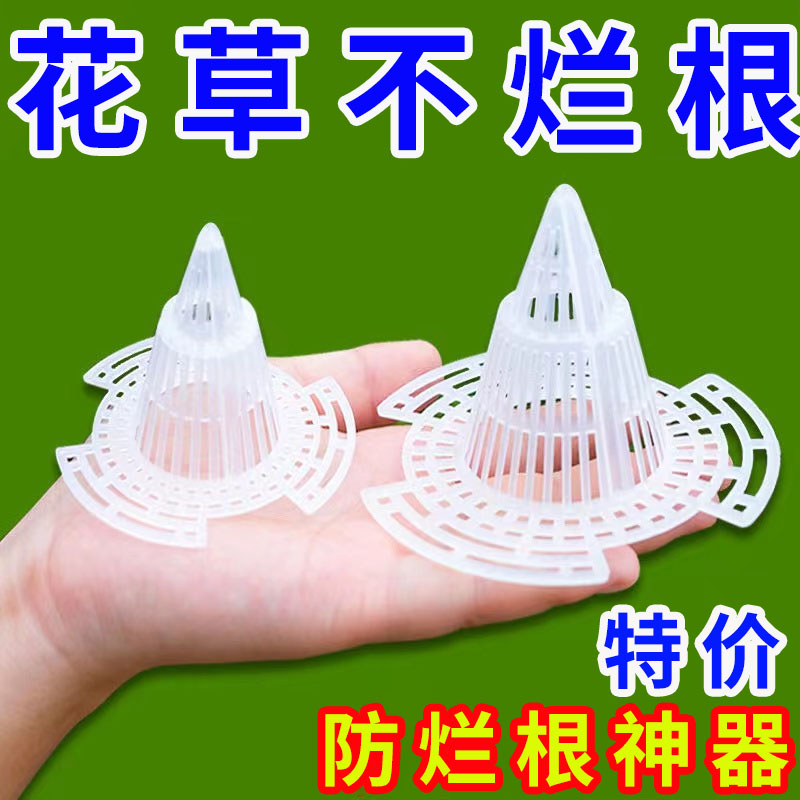 兰花花盆塑料透气沥水罩