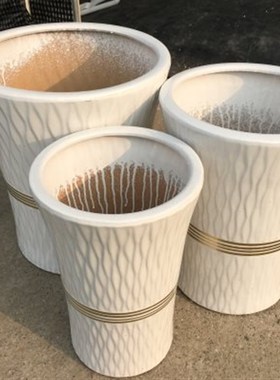 白色树皮纹幸福树平n安树散尾葵绿萝发财树特大号大号陶瓷花盆