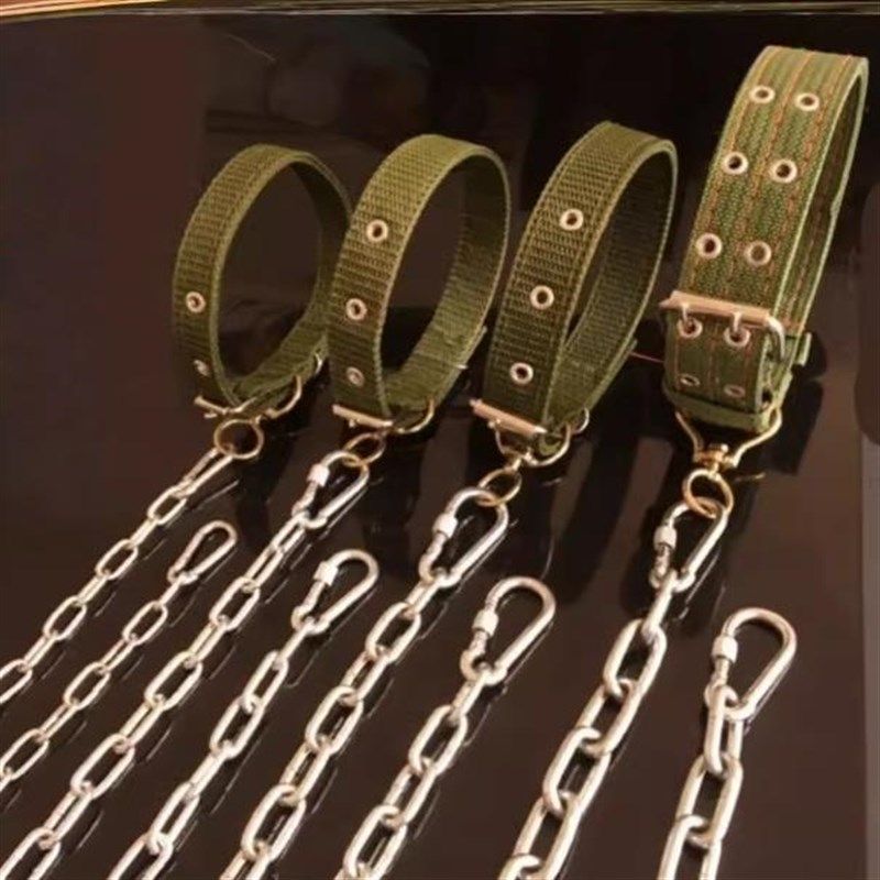 304不锈钢狗炼子大型犬中型犬小型犬铁炼项圈狗绳防咬家用牵引带,宠物/宠物食品及用品,猫牵引绳,淘宝优惠券,粉丝福利购,淘宝优惠卷