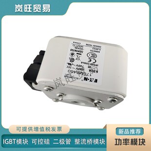原装保险丝快速熔断器170M6435/6458/6459/64K60/6461/6462/6463