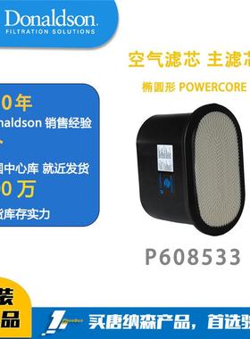 唐纳森蜂窝滤芯 发动机空滤 P608533 空气滤芯 主滤芯 椭圆形