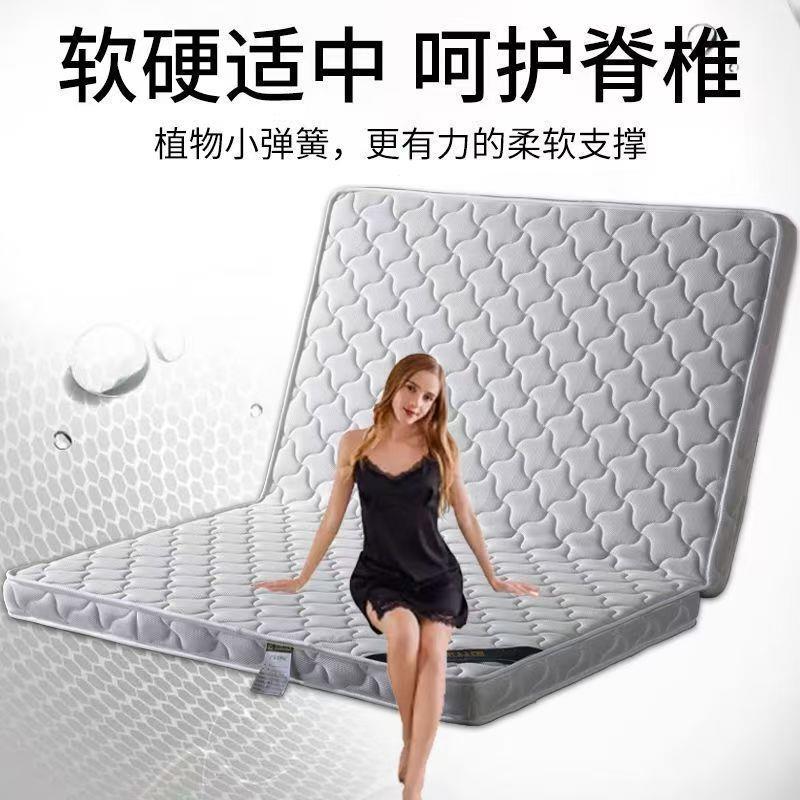 环保椰棕床垫1.81.5米1.2儿童席梦思棕垫棕榈榻榻米折叠垫子