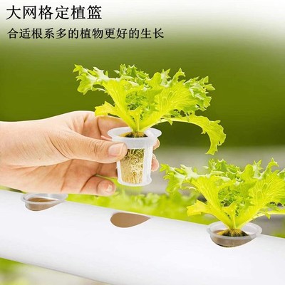 无土栽培蔬菜设备家庭阳台管道式水培种植架自动化多层水耕种菜机