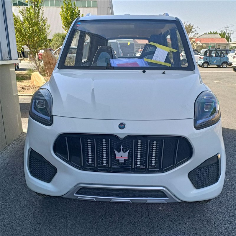 新能源家用电动小汽车全封闭四轮电动车 新款老头乐代步 油电两用