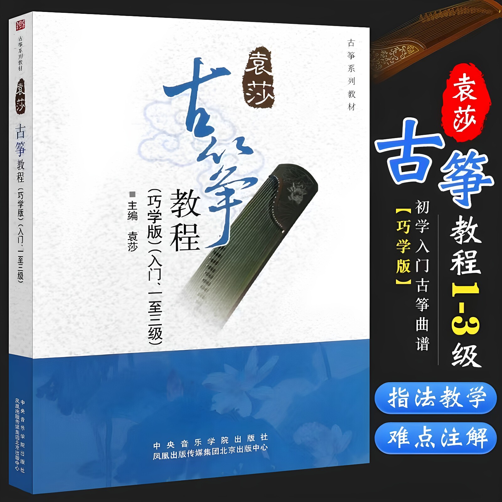 古筝类古筝初学入门袁莎教程