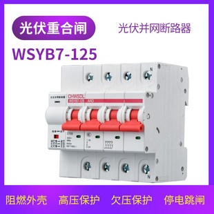 自动重合闸 自覆式 小型并网2P 100A 过欠压保护器 光伏断路器