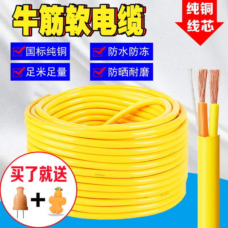 纯铜电线 户外牛筋电缆2芯1.5 2.5 4平方10米20米防水防冻护套线