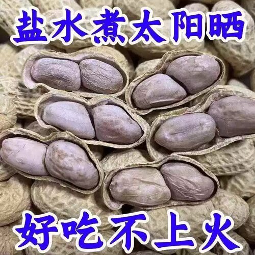 水煮花生五香蒜香味新龙岩花生原味晒干炒货带壳咸干解馋小零食