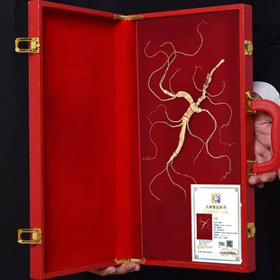 长白山人参野山参礼盒装产地发货送礼佳品正宗高龄老山参带证书