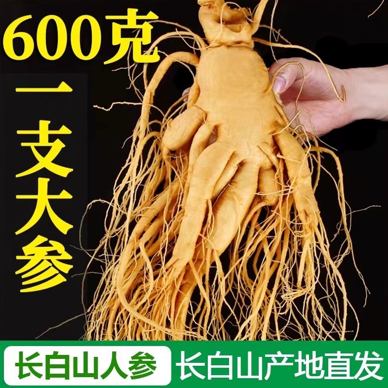 【特大老龄参】长白山人参鲜参东北特产煲汤泡酒鲜人参批发产地发