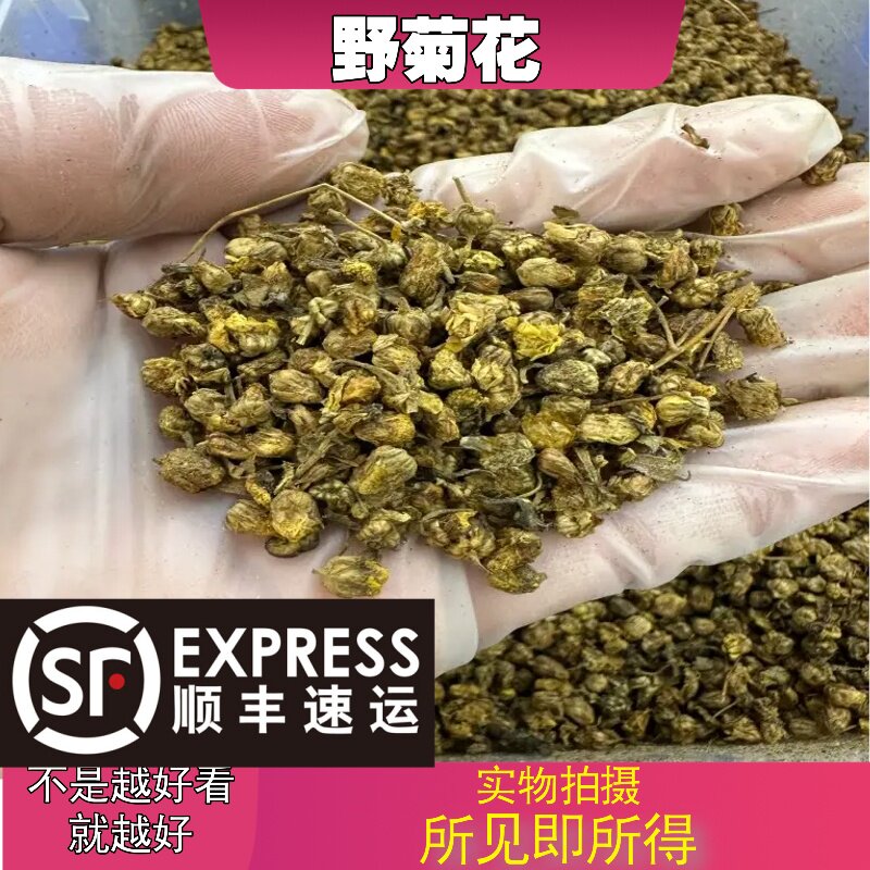 野菊花中药材店铺中草药大全别名：苦薏、野山菊、山菊花、千层菊