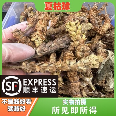 夏枯球中药材店铺中草药大全