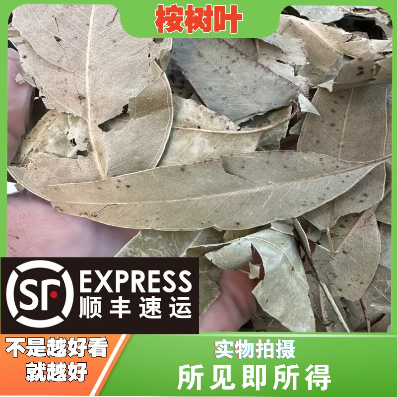 桉树叶中药材店铺中草药大全别名：蓝桉叶、羊草果叶、灰杨柳