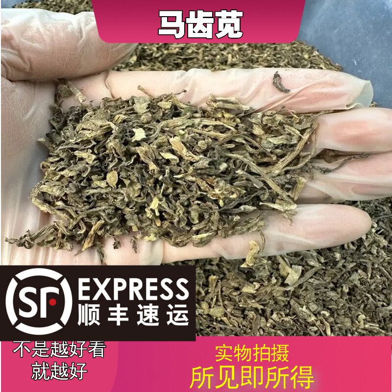 马齿苋中药材店铺中草药大全别名：马齿草、马苋、马齿菜、
