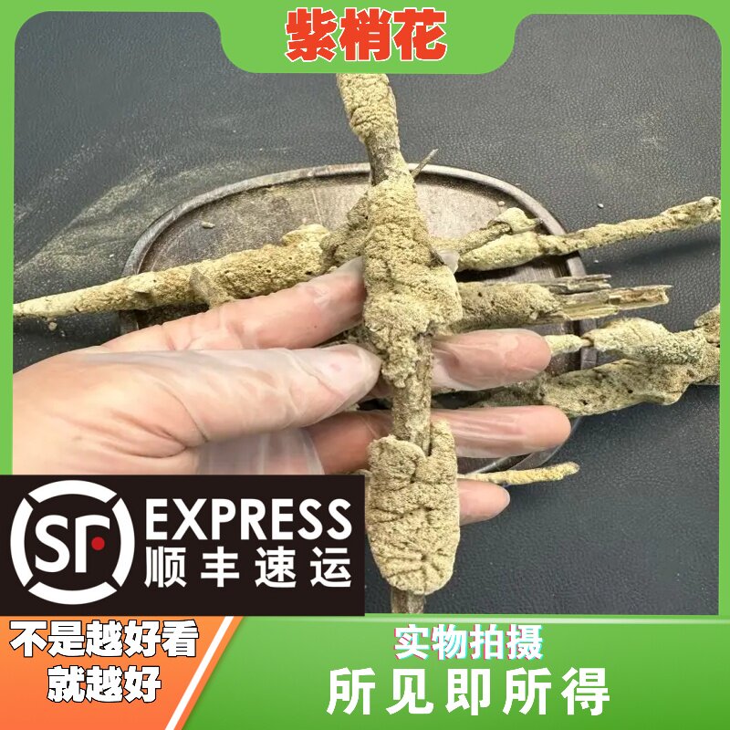 紫稍花成都中药材批发