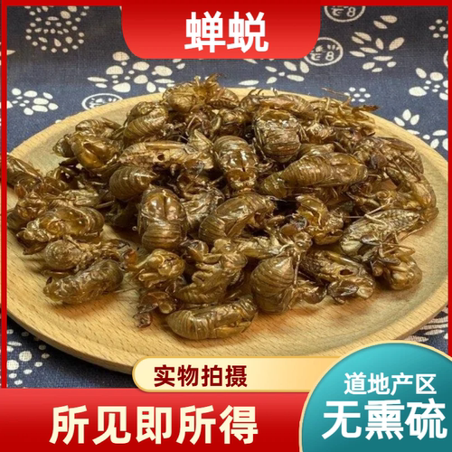 蝉蜕中药材店铺中草药大全