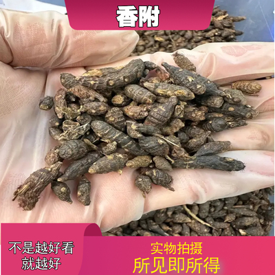 香附中药材店铺中草药大全