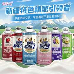 北牧元新疆奶啤奶皮子啤酒奶油蜜瓜中式精酿啤酒酸奶子聚会饮料