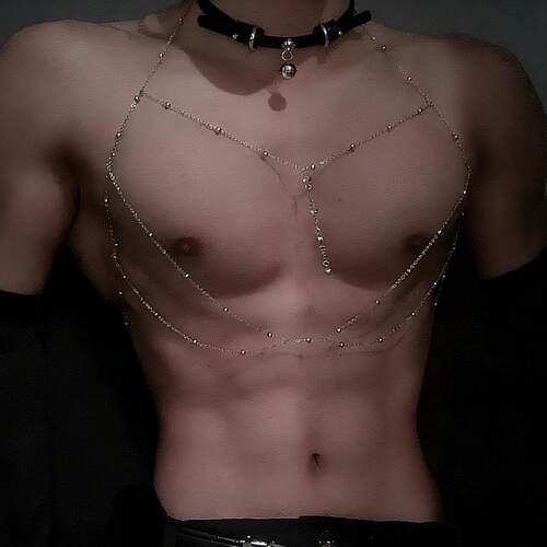 小狼狗耶诞铃铛项圈身体