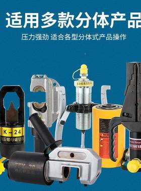 厂家应供 动型脚踏手按液压泵 小220V强电动力液压OVP泵 电磁油压