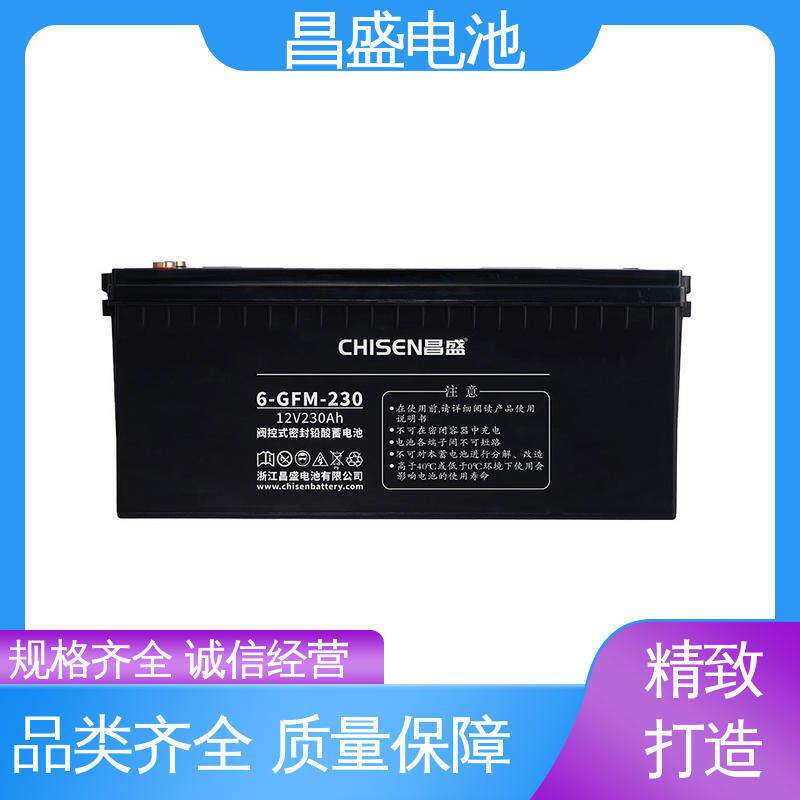 昌盛 6-GFM-230 UPS/EPS电源 通信机房设备 胶体电池 规模生产