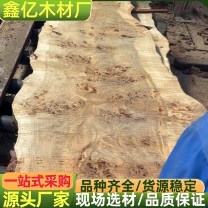 白杨树瘤 法国白杨 欧枫树瘤原木 适用工艺品 球杆 手柄 河流桌料