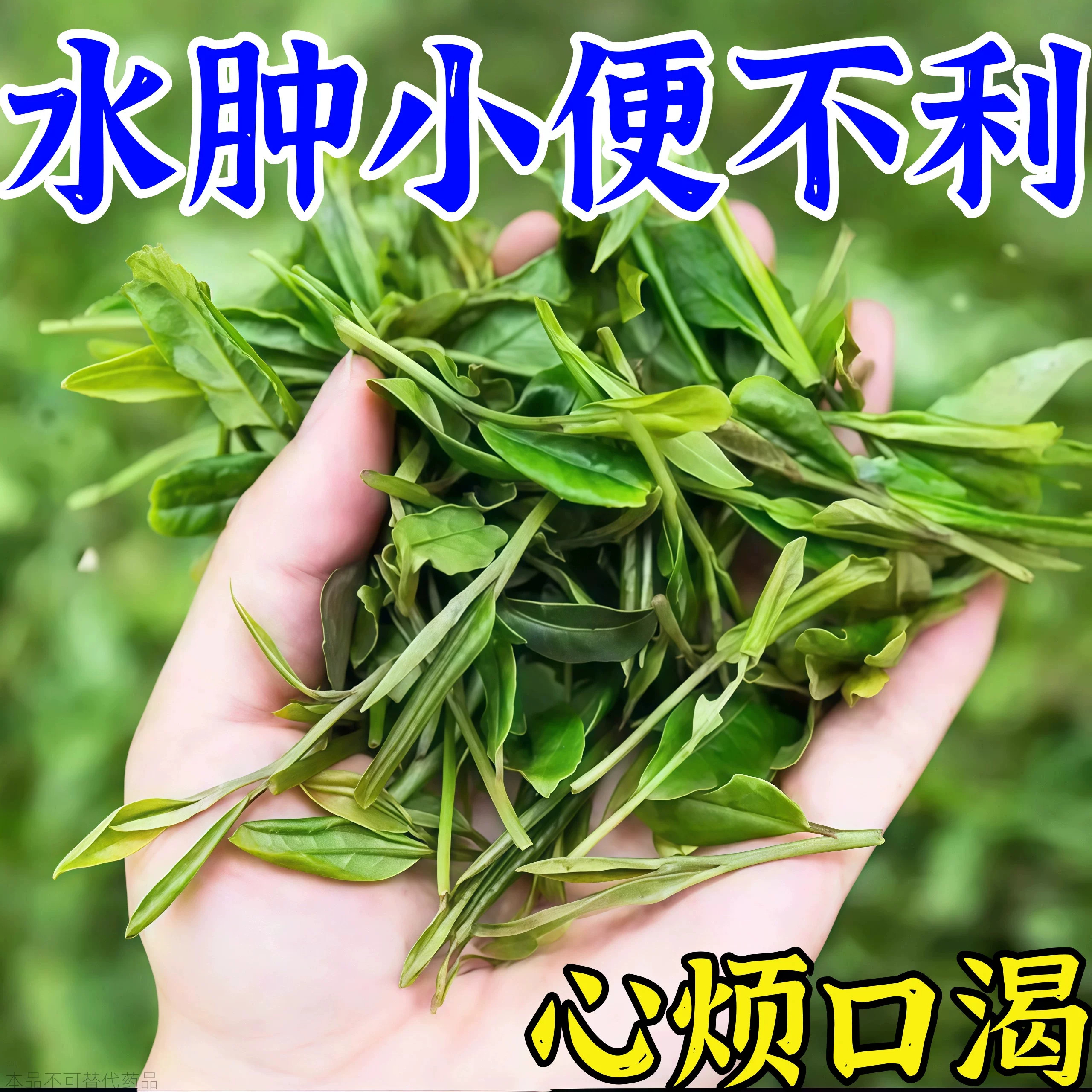 白茅根玉米须尿黄尿利水道感染尿频尿急尿不尽小便刺痛利尿消炎茶