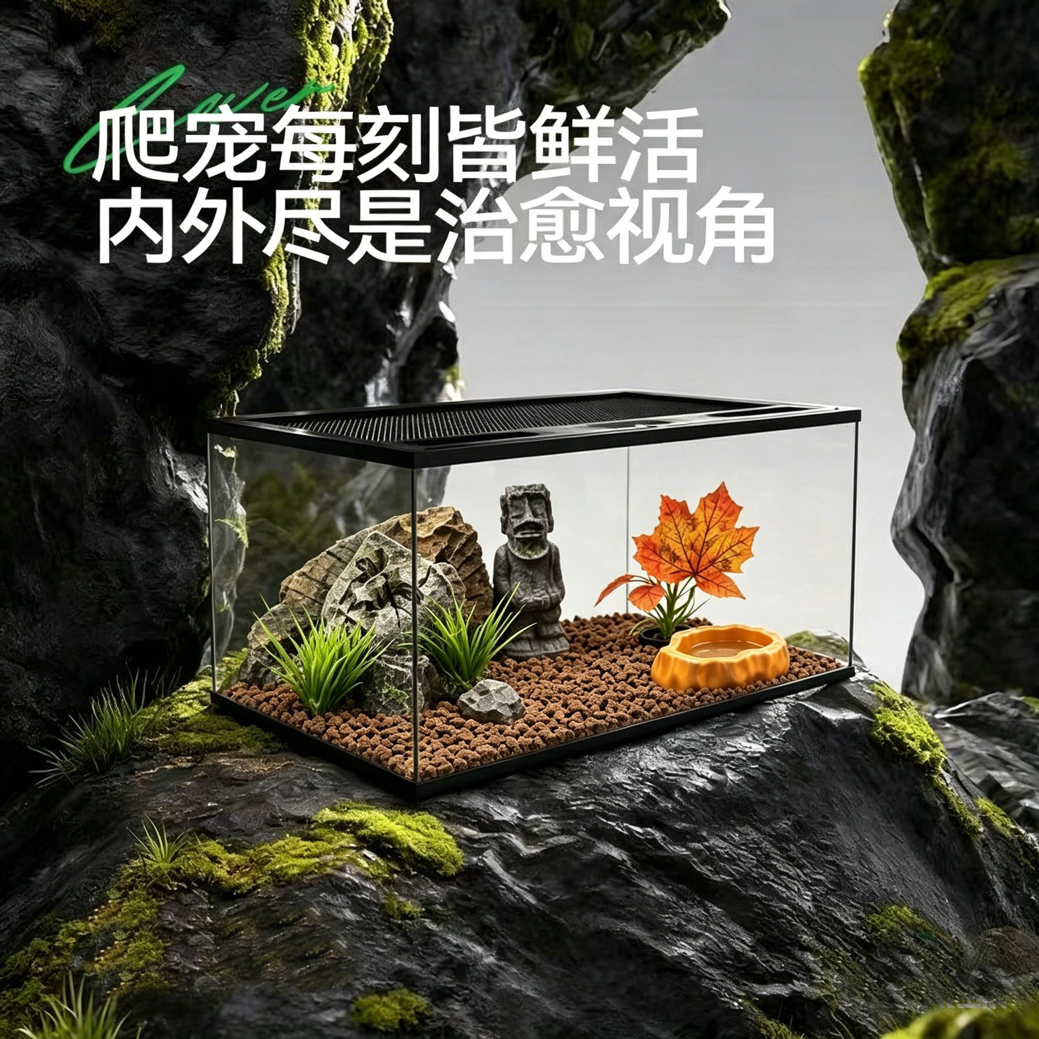 全透超白玻璃爬宠缸雨林生态造景缸3A防逃逸恒温爬宠饲养箱图片